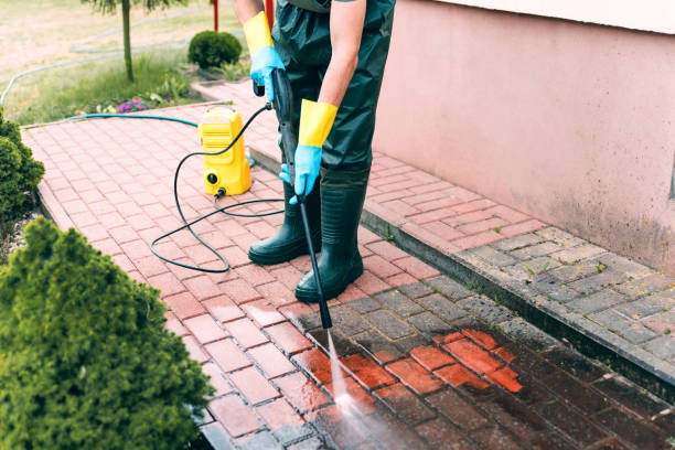 Animal Enclosure Cleaning in Dauphin Island, AL